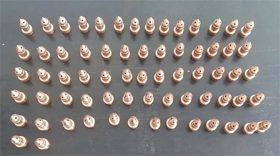 Yüksek verimlilikli paslanmaz çelik saat bandı kuşak hali PVD vakum kaplama makinesi
